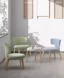 Aisti 現代時尚家用軟墊座椅-4