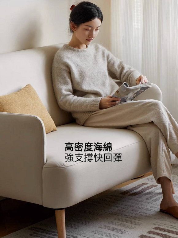 Natura 現代科技布小梳化