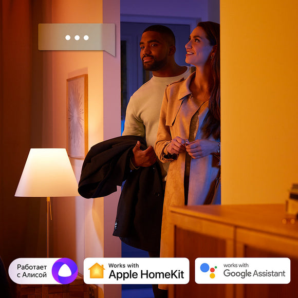 Philips - Hue Go 彩光可攜式充電氣氛燈 (藍牙版)