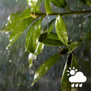 Philips- Hue Lightstrip 戶外燈帶 2 米裝-9