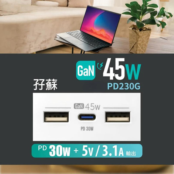 GaN45W Type-C/USB 電制插座 (孖蘇) - 香濱金