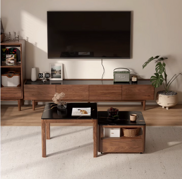 Sateen 胡桃木精選電視櫃 - 0