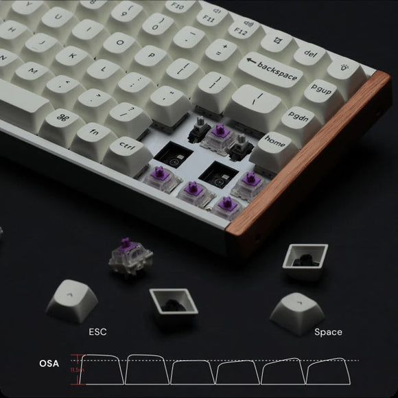 Keychron K2 HE 磁軸無線機械鍵盤