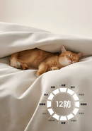 LS007 Specchio 小户型家居猫抓布艺梳化-15