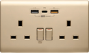 PDQC 孖蘇 Type C/USB電制 (香濱金)-2