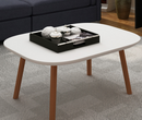 Elegance INS簡約小茶几-2