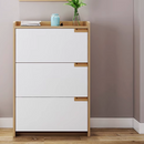 Sydan 超薄翻門鞋櫃-1