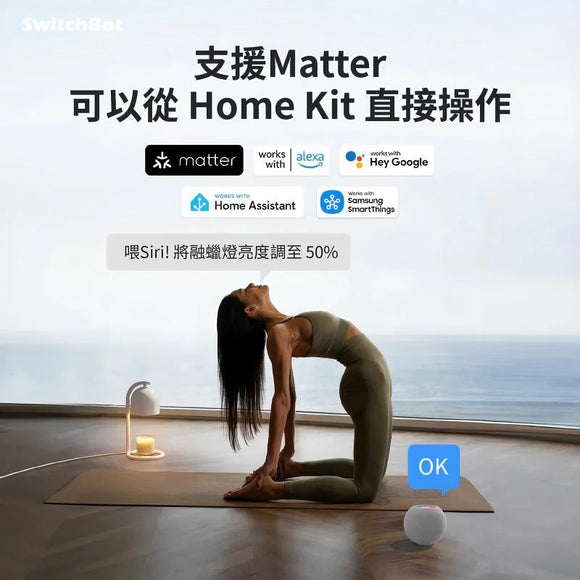 SwitchBot 智能融蠟燈