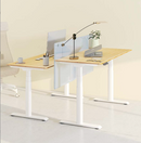 OVAL UP STANDING DESK-OAK_WHITE (E8-01W)-3