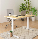 OVAL UP STANDING DESK-White (E8-03W)-14