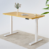 V Standing Desk - White (EC3-02W)
