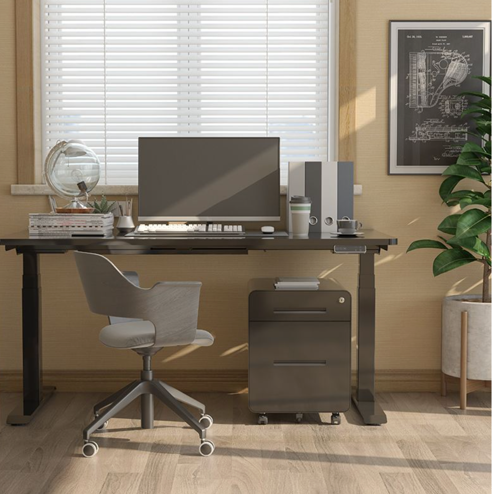 V Standing Desk - White (EC3-02W)