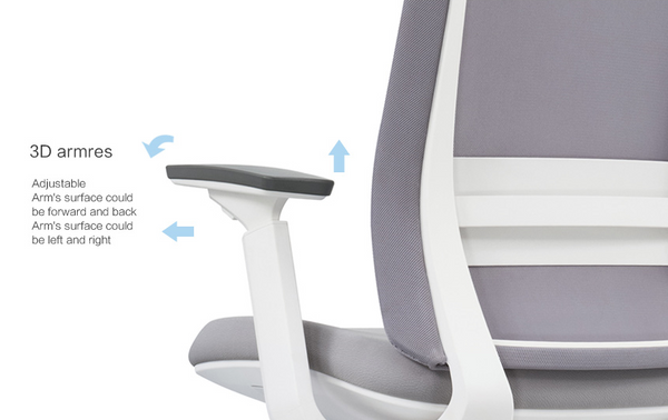 EVL-001B (Mesh Chair) 人體工學椅
