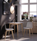 RestUS 摩登餐椅-18
