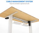 UP STANDING DESK-BLACK (E1-04B)-5