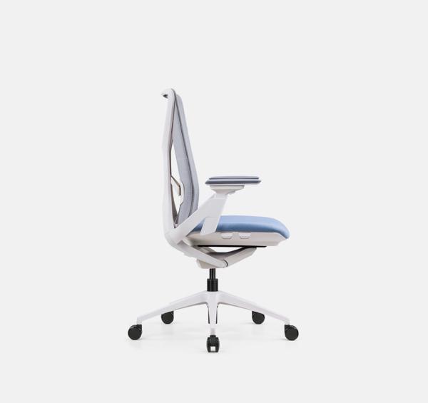 EYA-001B (Launching Soon) 人體工學椅 Ergonomic Chair