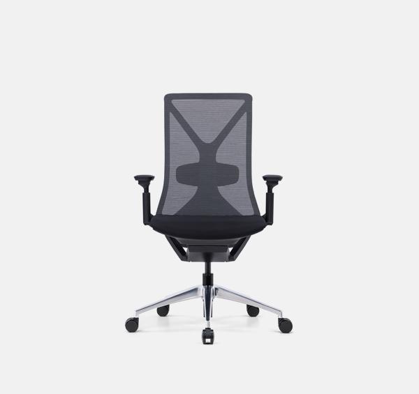 EYA-001B (Launching Soon) 人體工學椅 Ergonomic Chair