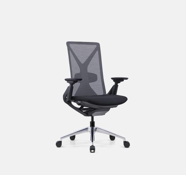 EYA-001B (Launching Soon) 人體工學椅 Ergonomic Chair