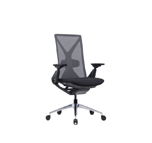 EYA-001B (Launching Soon) 人體工學椅 Ergonomic Chair