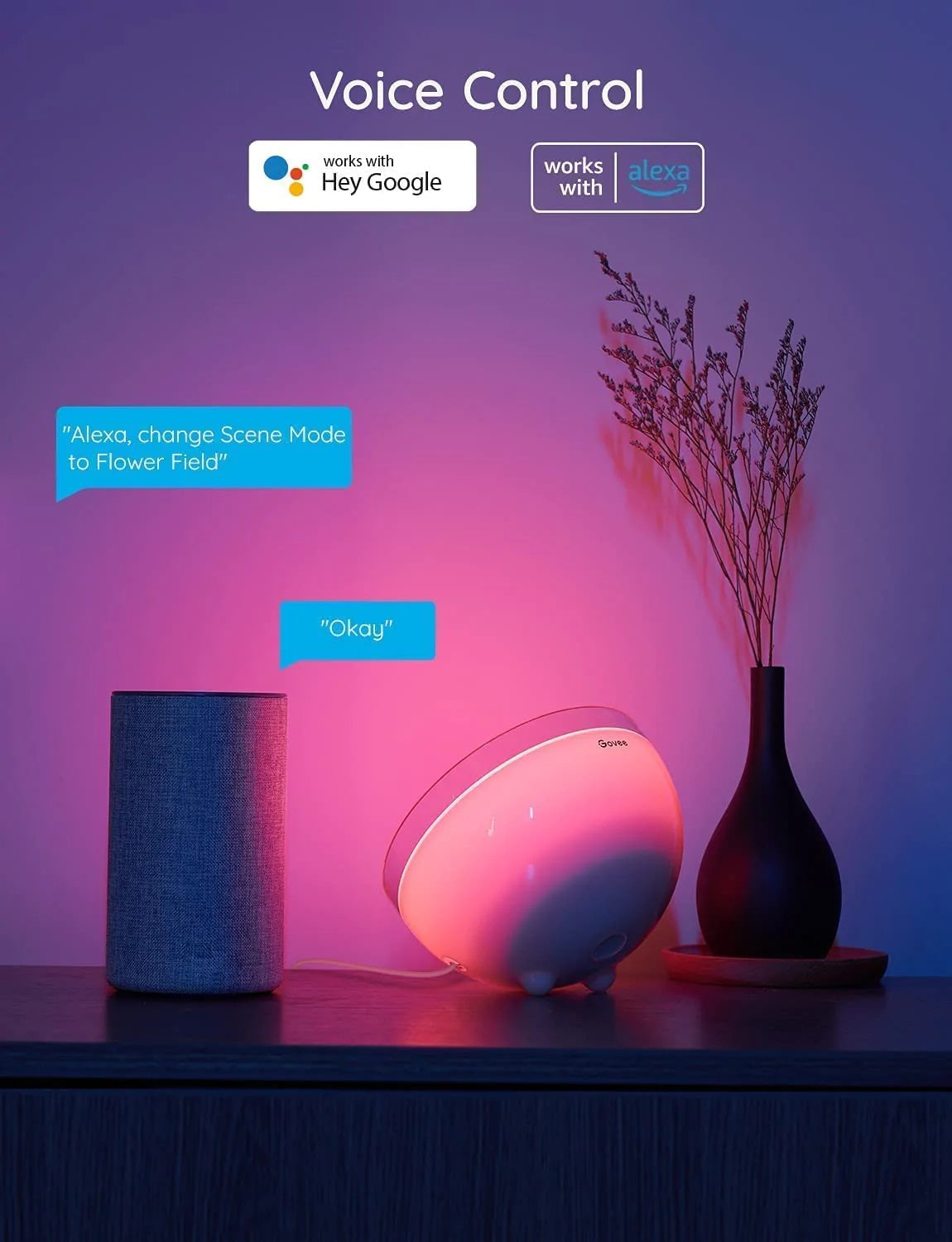 Govee Ambient RGBWW Portable Table Lamp (Bluetooth & Wi-Fi) 多功能的便攜式桌燈