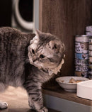 點綴客廳空間-3