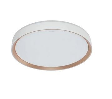 Philips CL853 Ceiling Ligh 多功能天花燈