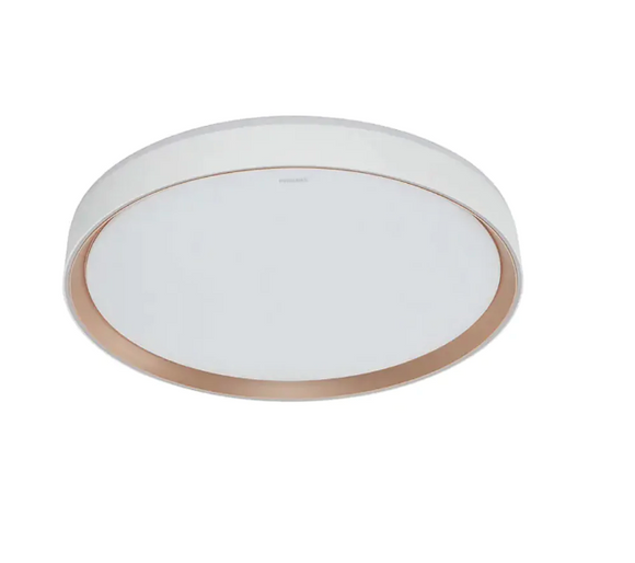 Philips CL853 Ceiling Ligh 多功能天花燈